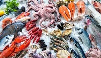 增加男性力量的海鲜